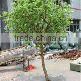 2013 Best Seller Artificial Green Tree