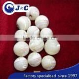 Trocas Shell Bead,trocas Shell Bead With Metal Holes thumbnail-3