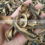 Dried Porcini Mushrooms Slice