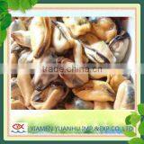 IQF Frozen Boiled Blue Mussel Without Shell thumbnail-1