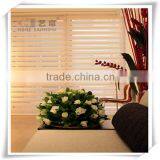 Yilian Latest Design Motorized Zebra Roller Blinds for Window thumbnail-2