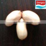 Chinese Peanuts