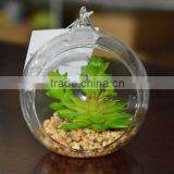 CIA 2016 New Design High Quality Artificial Succulent Plants Mini Succulent Plant thumbnail-6
