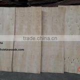 Eucalyptus Joint Core Veneer for Making Plywood From Vietnam thumbnail-4