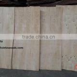 Eucalyptus Core Veneer for making Plywood from Vietnam