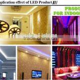 Outdoor Building Projection Lighting 110V Led Flexible Hose Light thumbnail-6