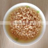 HOT SALE canned white kidney beans