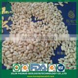Wholesale Factory Direct Top Quality Chines Red Korean Pine Nut Kernels thumbnail-3