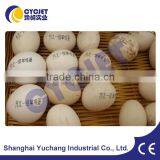 Expiry Date Stamping Machine/ALT390 Lot Number Printing Machines thumbnail-3