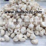 Vacuum Freeze Dried Mangosteen From Thailand 100% Natural! Certified HACCP , ISO 22000 , GMP , HALAL and KOSHER [ Mangosteen ] thumbnail-1
