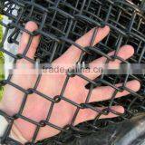 Viny Coated Chain Link Wire Mesh