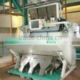 Dhaval Agri Exports company overview - view 1 thumbnail