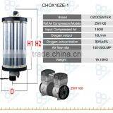 Carbon Steel Sprayed Complete PSA Oxygen System Corona Discharge 40g Ozone Generator for Wastewater Treatment thumbnail-4
