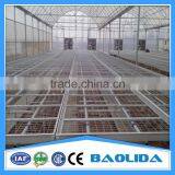 Galvanized Steel Pipes Greenhouse For Agriculture Farming thumbnail-4