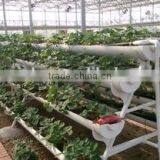 Hydroponic System for Plant Growth thumbnail-1