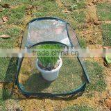 Greenhouse,mini Greenhouse,garden Greenhouse,flower House(SB10-10-H) thumbnail-1