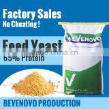 Feed Yeast Protein For Animal Feed