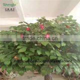 SJ Making Artificial Apple Fruit Tree , Fake Apple Tree ,decorative Apple Tree thumbnail-2