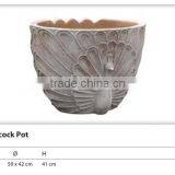 Special Peacock Terracotta Pots thumbnail-1