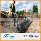 800g/m2 HDPE Geonet thumbnail-1