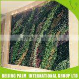 Cheap High Imitation Plastic Imitation Plastic Green Wall/Artificial Plant thumbnail-5