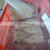 Seafood and Frozen Good Packing Fish thumbnail-1