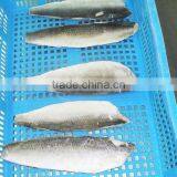 Frozen Herring Fillets thumbnail-1