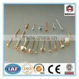 Hot Selling High Qualiy Flat Head Screw thumbnail-1