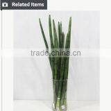 Manufacturing Maguey Garden Decoration Indoor Decoration Handmade Plant for Sale thumbnail-6