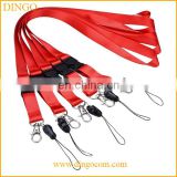 safety harness and rope lanyard