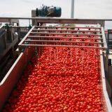 2019 Crop Tomato Paste thumbnail-5