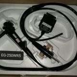 Fuji EG-250WR5 Endoscopy