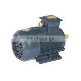 OEM Customized 3kw YE2 Series 100L-2 Three Phase Electric ac Water Pump Motor of China Supplier thumbnail-2