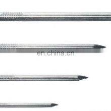 Galvanized Concrete Nails in Material 55# for Construction thumbnail-2