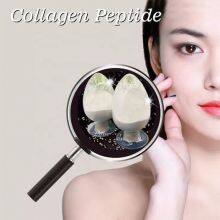 Collagen Factory Marine Fish Small Molecule Fish collagen peptides hydrolyzed thumbnail-1