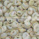 Italian Cappelletti Production Machine thumbnail-4