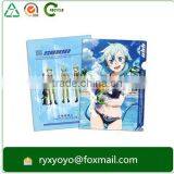 Carton Design pp Clear Plastic Office File Folder a4 Size for Business Promotion