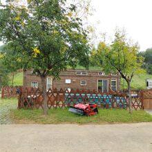 Radio Controlled Lawn Mower, China Tracked Remote Control Lawn Mower Price, Slope Mower for Sale