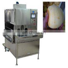 Kiwi Peeling Machine With Promotional Price thumbnail-2