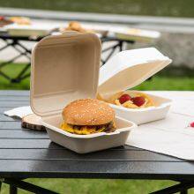 Disposable Biodegradable Tableware