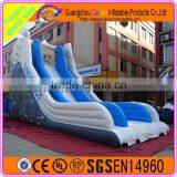 Giant Inflatable Plastic Dry Slide for Amusement Park thumbnail-6