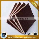 Waterproof Film Faced Plywood for Construction Plywood Concrete Formwork thumbnail-2