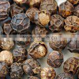 Well Know Spice 100 Pure and Natural Black Peppercorn Oil