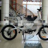 Factory Price Energy-saving Cool Electric Mountain Bike