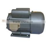 YL7112 single phase two value capacitor asynchronous AC motor