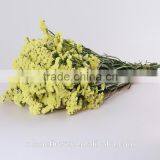 Supply Long Flower Period Fresh Cuttting Statices Flowers From Yunnan Province China thumbnail-5