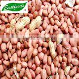 New Crop Peanut Kernel thumbnail-4