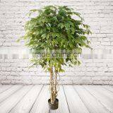 Artificial Indoor Ficus Tree thumbnail-6