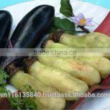 Frozen Vegetables and Fruits