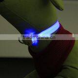LED Dog Collar thumbnail-6